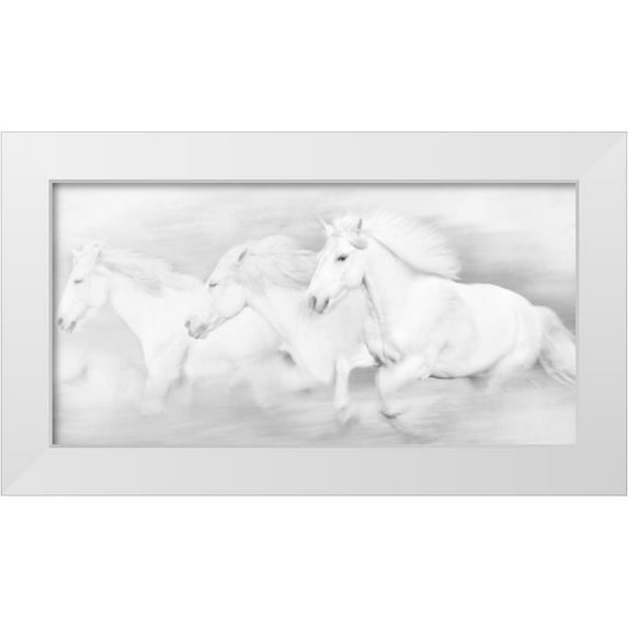 PHBurchett 18x11 White Modern Wood Framed Museum Art Print Titled - All the White Horses