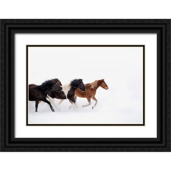 PHBurchett 18x13 Black Ornate Wood Framed with Double Matting Museum Art Print Titled - Snow Run IV