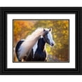 thumbnail image 1 of PHBurchett   18x15 Black Ornate Wood Framed with Double Matting Museum Art Print Titled - Golden Lit Horse III, 1 of 4