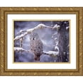 thumbnail image 1 of PHBurchett  18x15 Gold Ornate Wood Framed with Double Matting Museum Art Print Titled - Owl in the Snow III, 1 of 4