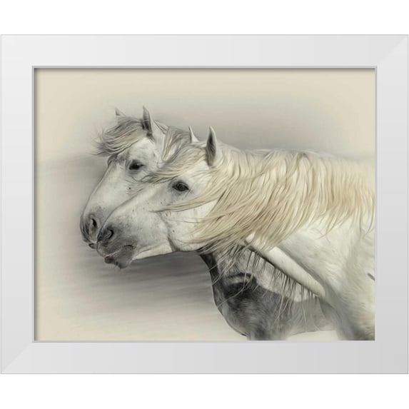 PHBurchett 18x15 White Modern Wood Framed Museum Art Print Titled - Curiosity