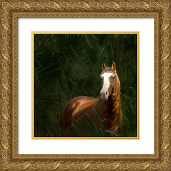 PHBurchett 20x20 Gold Ornate Wood Framed with Double Matting Museum Art Print Titled - Wild II