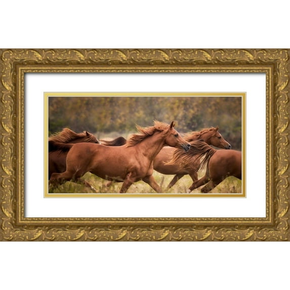 PHBurchett 24x14 Gold Ornate Wood Framed with Double Matting Museum Art Print Titled - Horse Run VI
