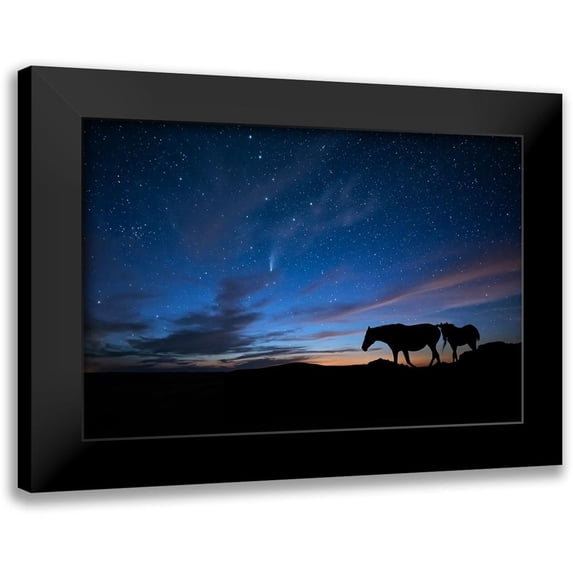 PHBurchett 24x17 Black Modern Framed Museum Art Print Titled - View At Rest II
