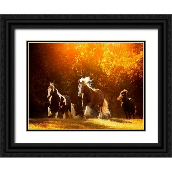 PHBurchett 24x19 Black Ornate Wood Framed with Double Matting Museum Art Print Titled - Horse Motion V