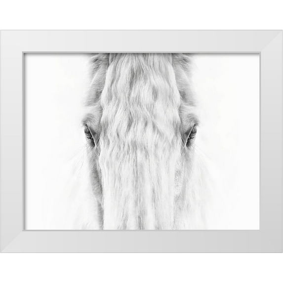 PHBurchett 24x19 White Modern Wood Framed Museum Art Print Titled - Black and White Horse Portrait IV