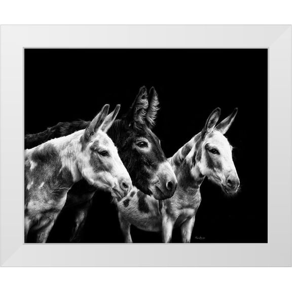 PHBurchett   24x20 White Modern Wood Framed Museum Art Print Titled - Donkey Portrait II