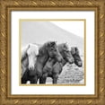 thumbnail image 1 of PHBurchett 26x26 Gold Ornate Wood Framed with Double Matting Museum Art Print Titled - BandW Horses IX, 1 of 4