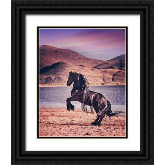 PHBurchett 26x32 Black Ornate Wood Framed with Double Matting Museum Art Print Titled - Sunlit Horses II