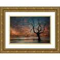 thumbnail image 1 of PHBurchett  32x23 Gold Ornate Wood Framed with Double Matting Museum Art Print Titled - Water and Land V, 1 of 4