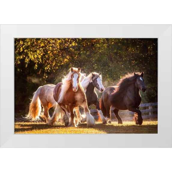 PHBurchett 32x23 White Modern Wood Framed Museum Art Print Titled - Sunlit Horses III