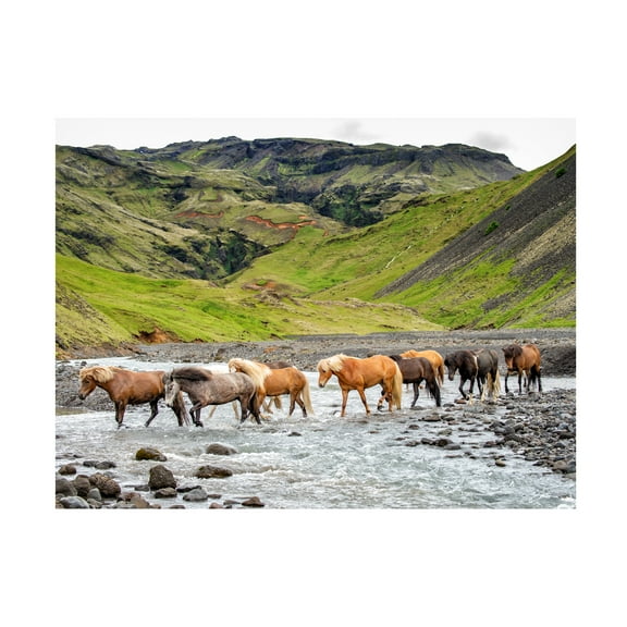 PHBurchett 'Collection of Horses II' Canvas Art