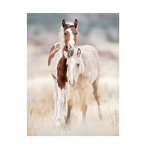 PHBurchett 'Collection of Horses X' Canvas Art