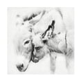 thumbnail image 1 of PHBurchett 'Donkey Portrait III' Canvas Art, 1 of 3