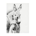 thumbnail image 1 of PHBurchett 'Donkey Portrait V' Canvas Art, 1 of 3