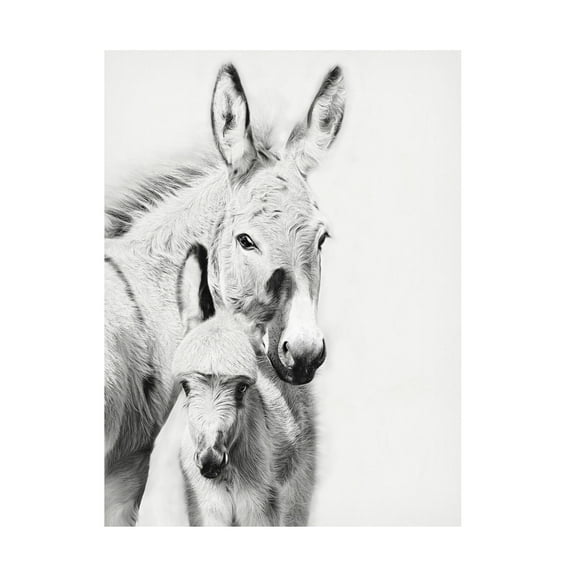 PHBurchett 'Donkey Portrait V' Canvas Art