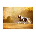 thumbnail image 1 of PHBurchett 'Golden Lit Horse II' Canvas Art, 1 of 3