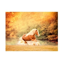 PHBurchett 'Horse Motion II' Canvas Art