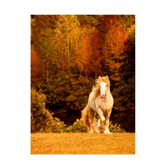 PHBurchett 'Horse Motion IX' Canvas Art