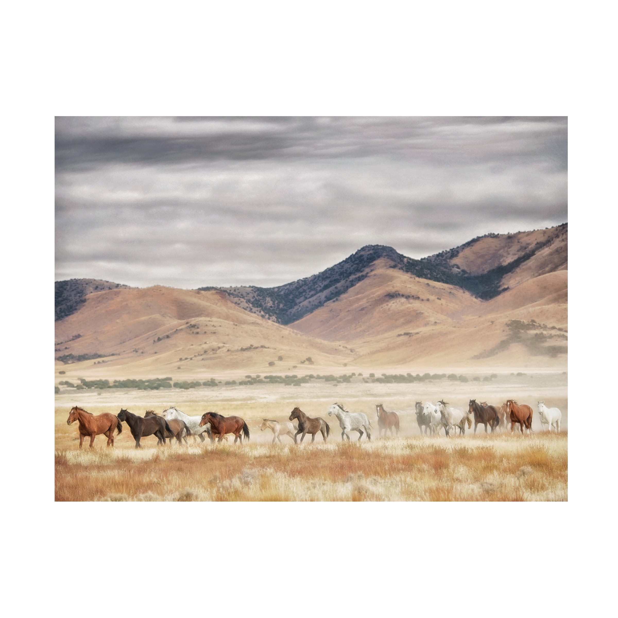 PHBurchett 'Horse Run II' Canvas Art