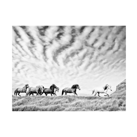 PHBurchett 'Horse Run III' Canvas Art