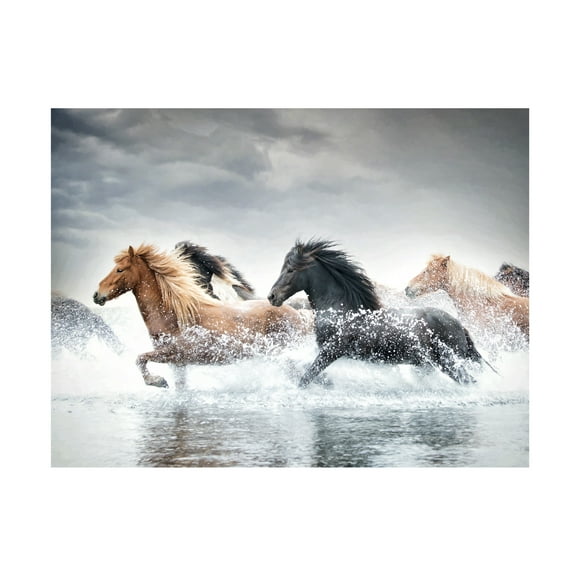 PHBurchett 'Horse Run V' Canvas Art