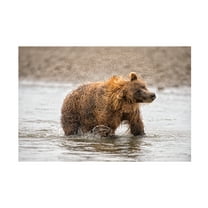 PHBurchett 'Photography Study Shake it Off' Canvas Art