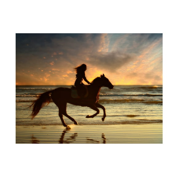 PHBurchett 'Wave Runners V' Canvas Art