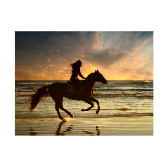 PHBurchett 'Wave Runners V' Canvas Art