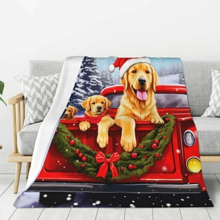 Dog Blanket Truck