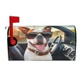 thumbnail image 1 of PHELIKA Dog Wearing Sunglasses Driving Car 02 Magnetic Mailbox Covers Standard Size 21"H x 18"W, 1 of 8