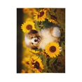 thumbnail image 1 of PHELIKA Havanese Dog Puppy 03 All Season Soft Throw Blanket Lightweight Flannel Fleece Blankets 40" x 50", 1 of 8