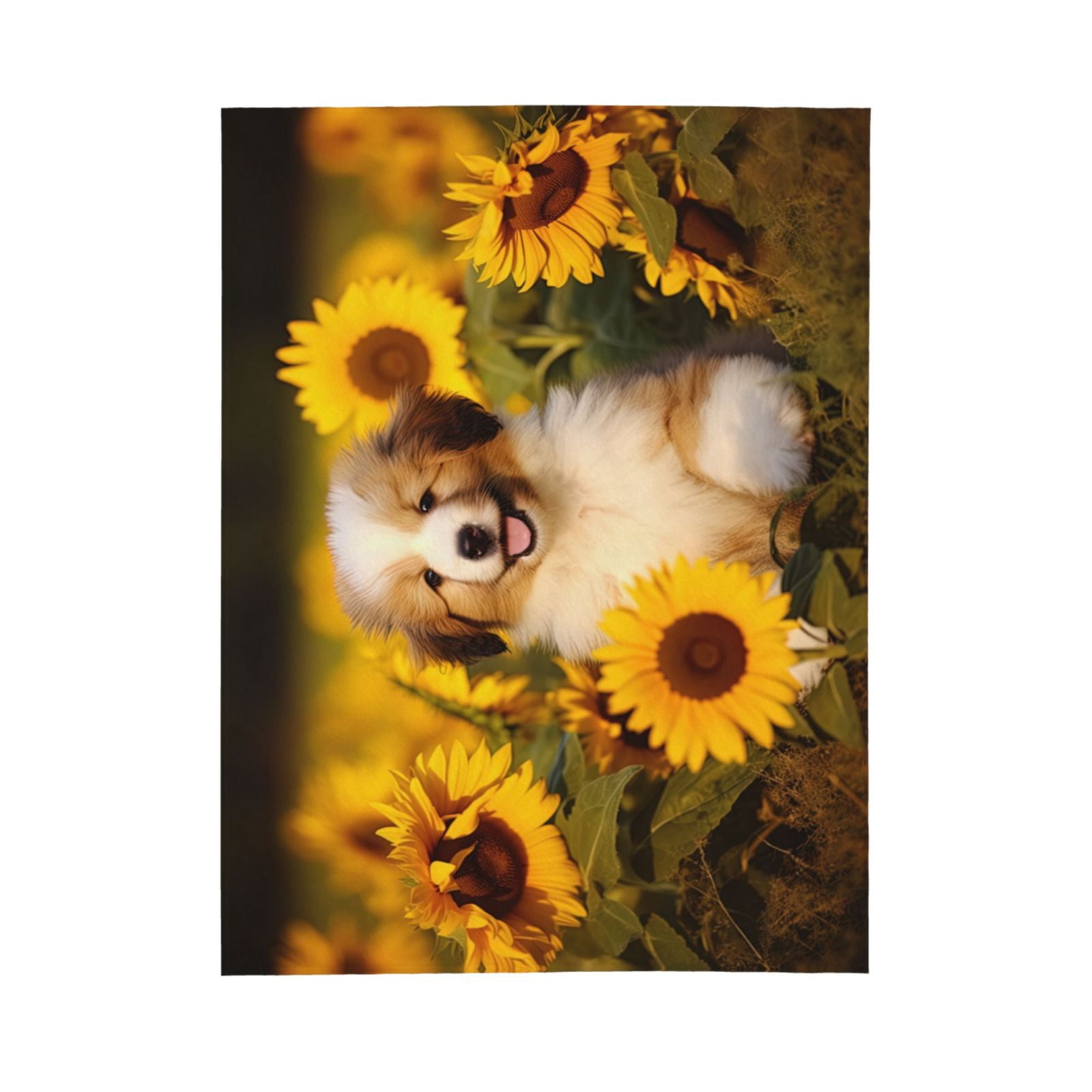 PHELIKA Havanese Dog Puppy 03 All Season Soft Throw Blanket Lightweight Flannel Fleece Blankets 80"x60"