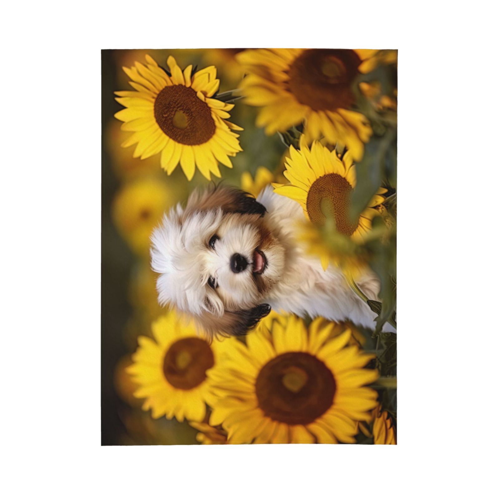 PHELIKA Havanese Dog Puppy 04 All Season Soft Throw Blanket Lightweight Flannel Fleece Blankets 80"x60"