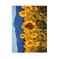 thumbnail image 1 of PHELIKA Mountain Full Of Sunflowers 02 All Season Soft Throw Blanket Lightweight Flannel Fleece Blankets 40" x 50", 1 of 8