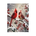thumbnail image 1 of PHELIKA Snow Red Cardinal Winter Birds 09 All Season Soft Throw Blanket Lightweight Flannel Fleece Blankets 50"x40", 1 of 8