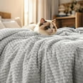 thumbnail image 1 of PHF Lightweight King Size Fleece Blanket, Contemporary Flannel Fleece 3D Jacquard Aesthetic Fluffy Blanket, No Shedding, No Pilling, 108" x 90", Light Grey, 1 of 8