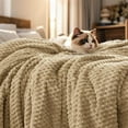 thumbnail image 1 of PHF Lightweight Twin Size Fleece Blanket, Contemporary Flannel Fleece 3D Jacquard Aesthetic Fluffy Blanket, No Shedding, No Pilling, 66" x 90", Light Khaki, 1 of 7