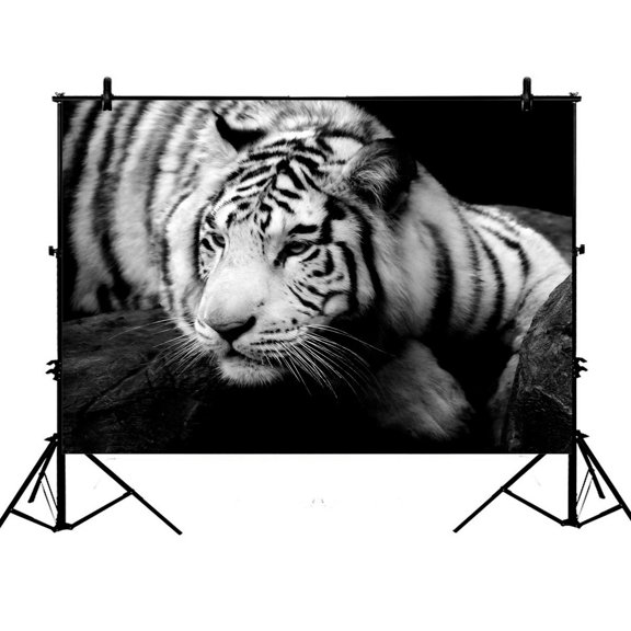 PHFZK 7x5ft Animal Backdrops, Lazy Siberian Tiger Black and White Photography Backdrops Polyester Photo Background Studio Props
