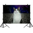 thumbnail image 1 of PHFZK 7x5ft Comos Background Backdrops, Proud Cat with Universe galaxy Space Bule Purple Photography Backdrops Polyester Photo Background Studio Props, 1 of 3