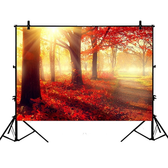 PHFZK 7x5ft Landscape Nature Scene Backdrops, Autumn Trees and Leaves in Foggy Forest at Sunrise Photography Backdrops Polyester Photo Background Studio Props