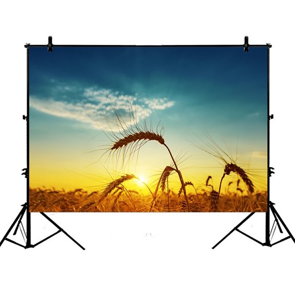 PHFZK 7x5ft Thanksgiving Golden Harvest under Blue Cloudy Sky on Sunset Photography Backdrops Polyester Photo Background Studio Props