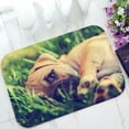 thumbnail image 1 of PHFZK Animal Doormat, Cute Pug Chihuahua Looking at You Doormat Outdoors/Indoor Doormat Home Floor Mats Rugs Size 23.6x15.7 inches, 1 of 3