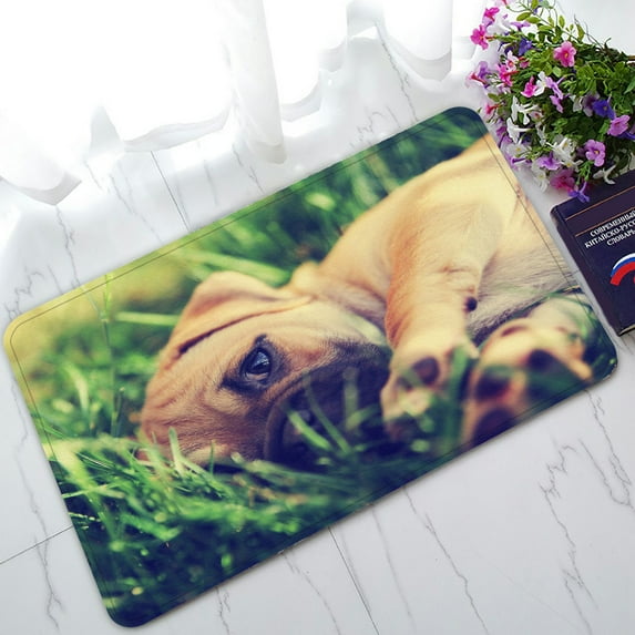 PHFZK Animal Doormat, Cute Pug Chihuahua Looking at You Doormat Outdoors/Indoor Doormat Home Floor Mats Rugs Size 30x18 inches