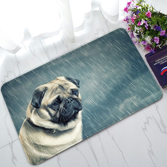 PHFZK Animal Pattern Doormat, Sad Dog in the Rain Doormat Outdoors/Indoor Doormat Home Floor Mats Rugs Size 30x18 inches