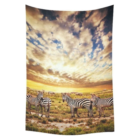 PHFZK Beautiful Sky Cloud Wall Art Home Decor, Safari Zebras Herd on Savanna at Sunset, Africa Tapestry Wall Hanging 40 X 60 Inches