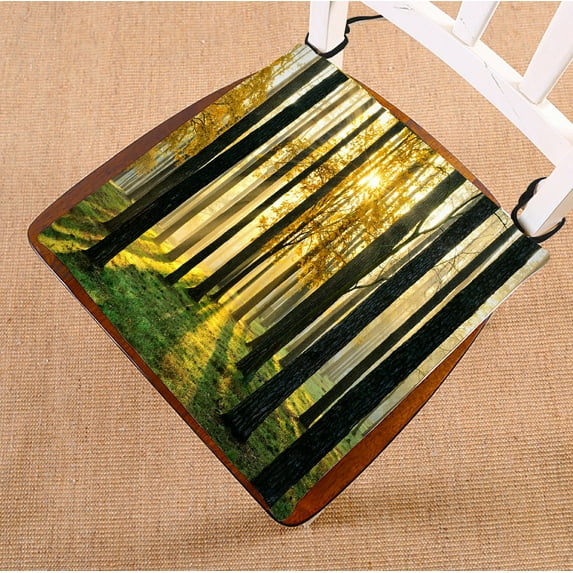 PHFZK Landscape Nature View Chair Pad, Tree with Beautiful Morning Sunrise in the Forest Seat Cushion Chair Cushion Floor Cushion Two Sides Size 18x18 inches