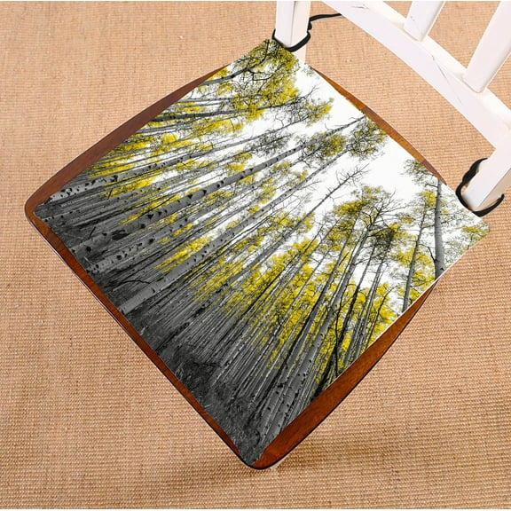 PHFZK Nature Landscape Chair Pad, Tall Forest of Golden Aspen Trees in Black and White Seat Cushion Chair Cushion Floor Cushion Two Sides Size 20x20 inches