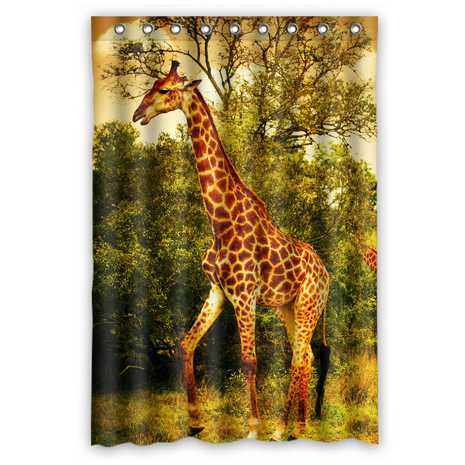 PHFZK Wildlife African Safari Shower Curtain, Giraffe and Animals Art ...