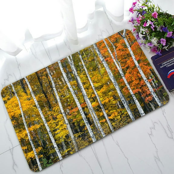 PHFZK Woodland Forest Doormat, Woodlsy Foliage Colorful Tree and Leaves Autumn Landscape Doormat Outdoors/Indoor Doormat Home Floor Mats Rugs Size 30x18 inches